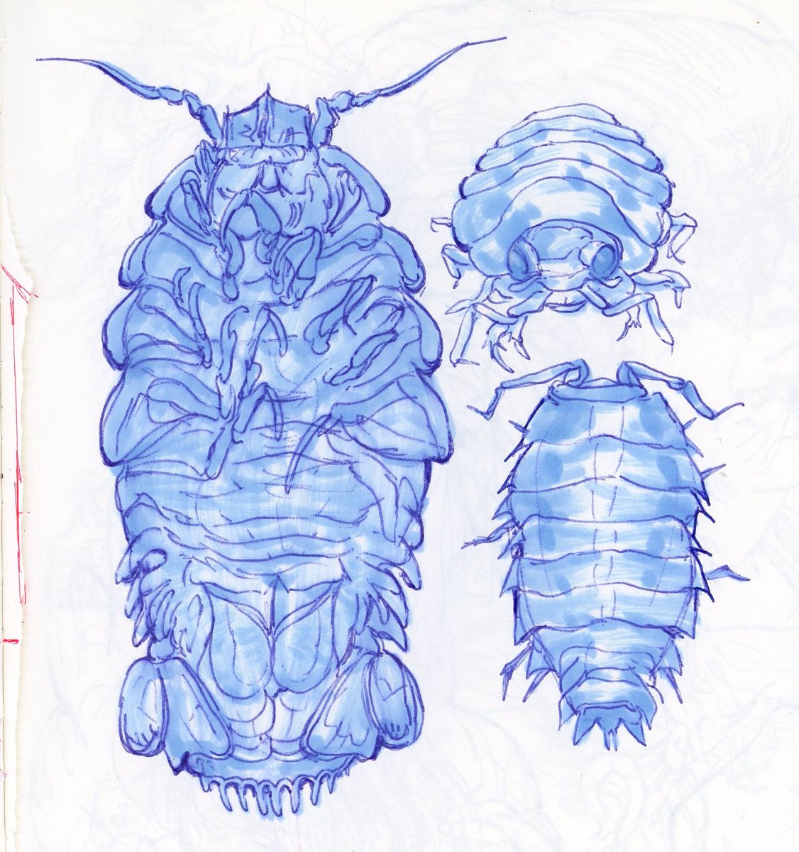 rabbitpulp's tweet photo. if you like my sketchbook stuff/drawings or physical STICKERS!!! I heavily recommend checking out my p-treon. it helps support me and it gives me a place to dump art that I dont share publicly <3

https://t.co/fdIBKVMhCO https://t.co/6Ygtwrn2oQ