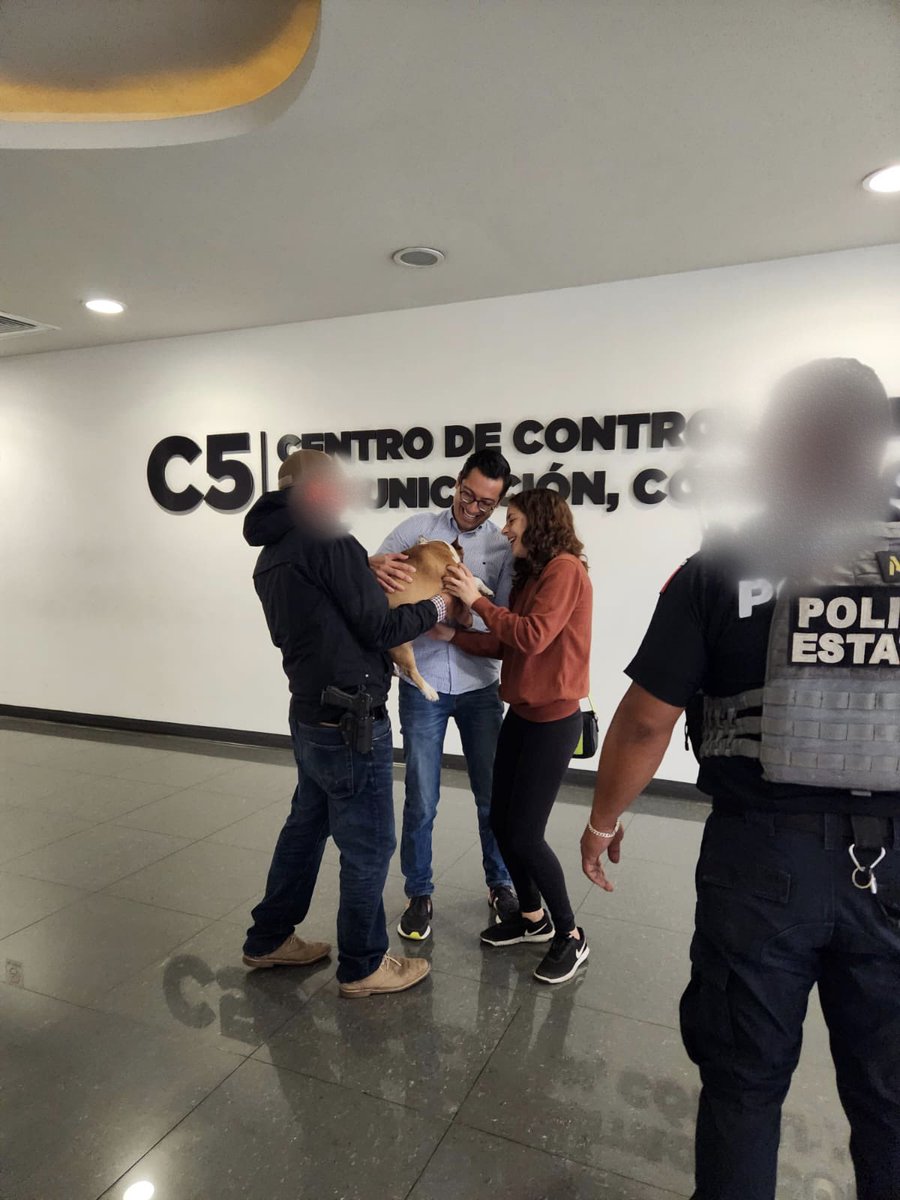 MajoMartinezP_'s tweet photo. GRACIAS A TODAS Y TODOS FRANK ESTÁ CON NOSOTROS OTRA VEZ!!!! 😭😭❤️‍🩹❤️‍🩹🥰🥰🥰 SIN USTEDES ESTO NO SERÍA POSIBLE!

¡Estamos muy agradecidos y reconocemos el trabajo de la @SS_Edomex @C5Edomex @Edomex y también @FiscaliaEdomex, así como a la DG de Seguridad de Tepotzotlán!

#DGCRVYT https://t.co/yJW6lxCYuz