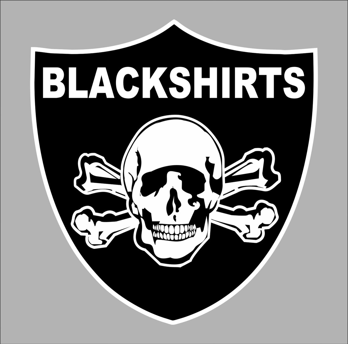 kkjwooten's tweet image. New Shoulder Pads have arrived!