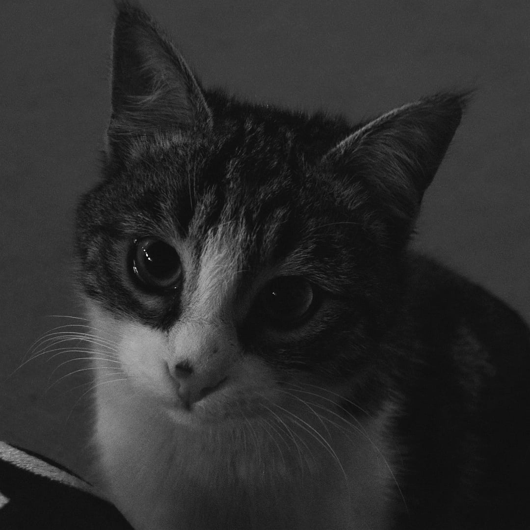 hfzklhri's tweet photo. Bye sonny🖤 https://t.co/Lv6GkTRDMb