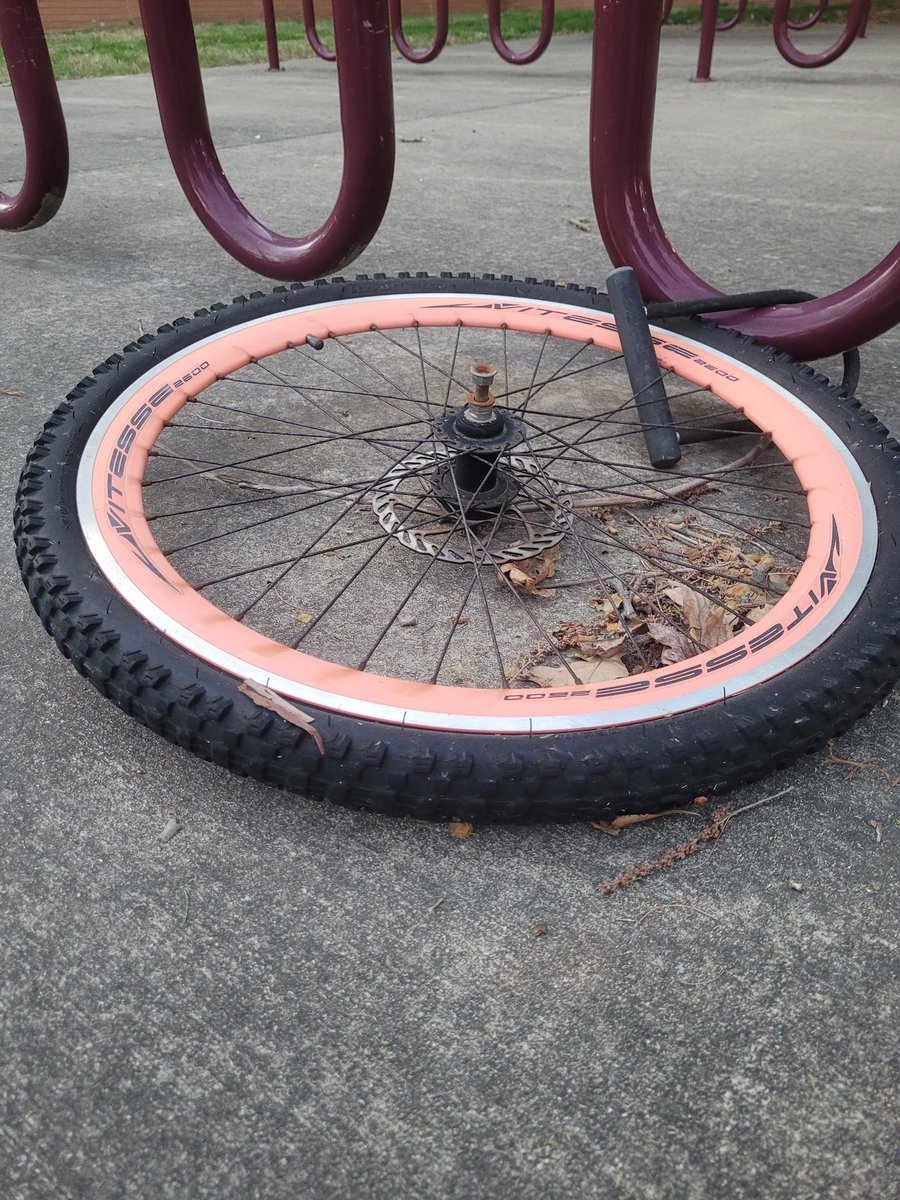 The 10 year Neckers  wheel

If you 

You know