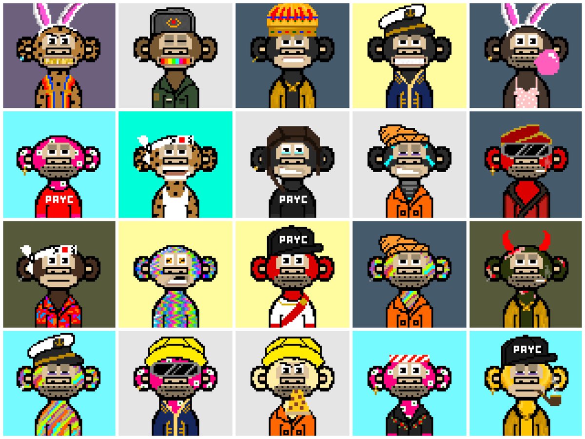 Pixel Ape Yacht Club (PAYC) tweet media