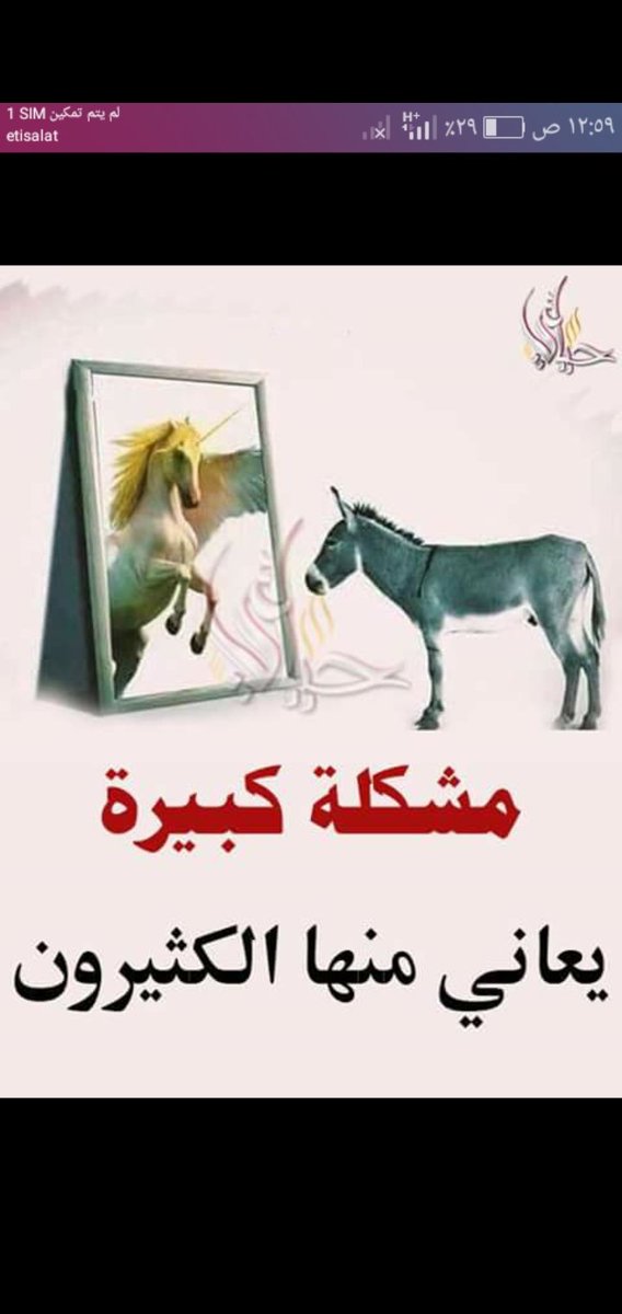 mmdbryk8's tweet photo. الحمار يرى نفسه في المراه حصان عربي اصيل وهذا بعد حالا الانفس الضعيفه https://t.co/Kj4iHP5KCX