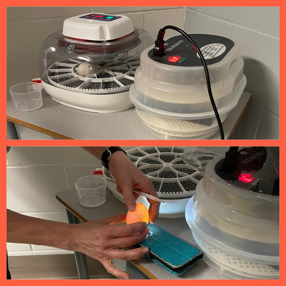 Colleen Chisholm-Bennett tweet media