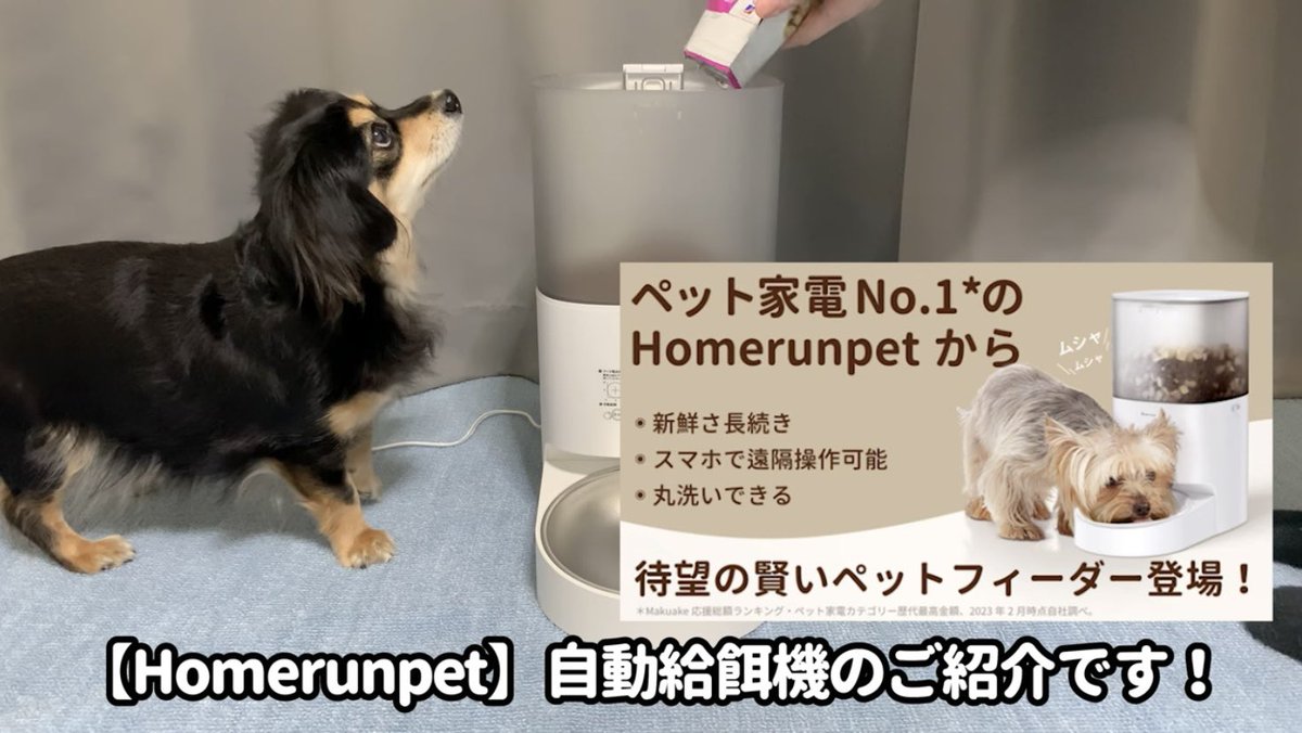 未開封 スマートペットフィーダー 鮮度キープ!完全密閉・丸洗い 自動