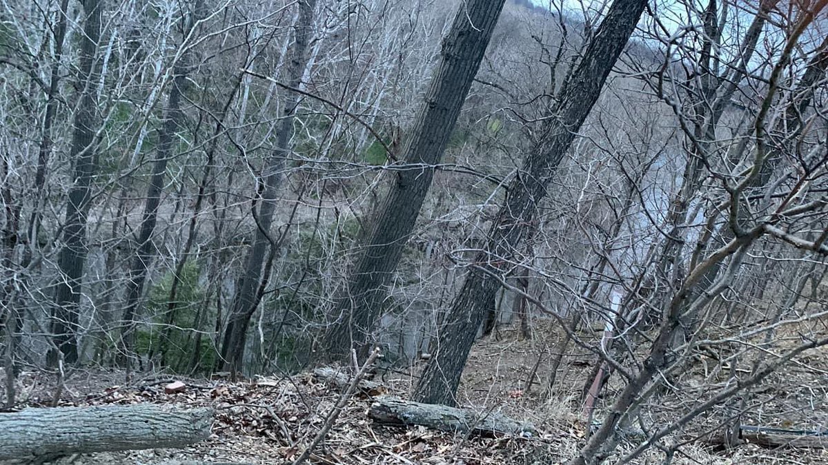 This CLE hotel is quick for a flight to see my Nashville buddies and has this amazing view of the Rocky River Valley, dare I say promontory?