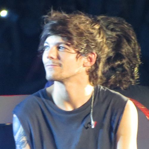 louis hedgehog (@lhdgehog) on Twitter photo 