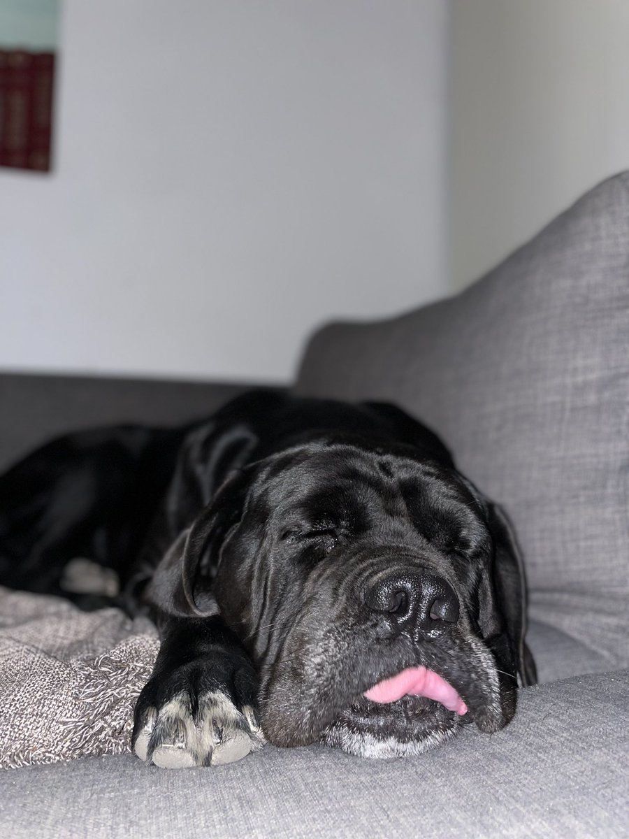 🥺🖤😴
