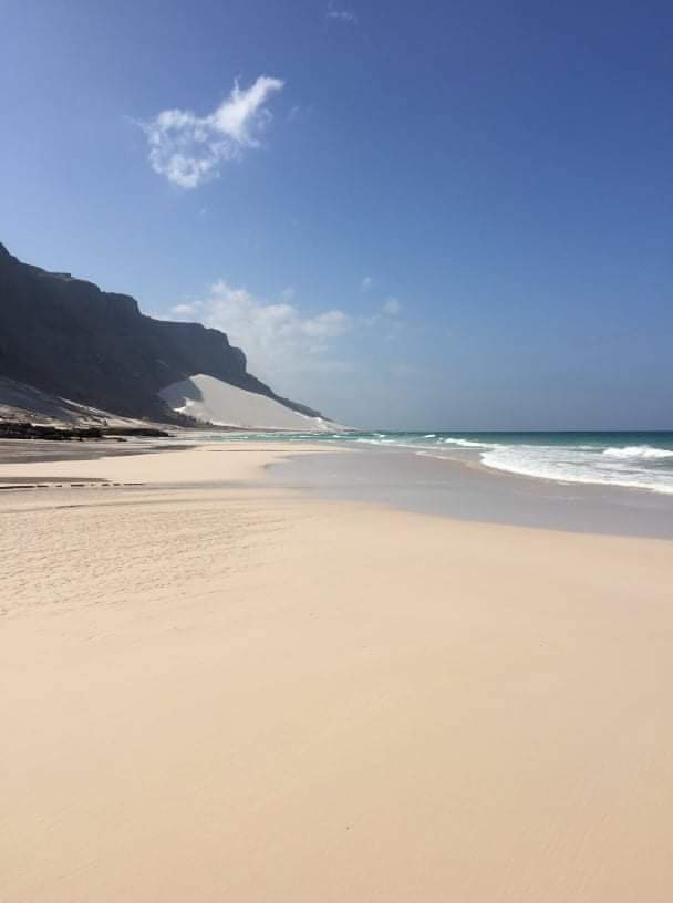 Aa702Ali's tweet photo. welcome to Socotra to explore the amazing beauty of island. Visit perfect journey in coastal line of Socotra. It adds an new experience to the visitors' with sandy beach in  beautiful sunsets. https://t.co/XkHfWnq6HN https://t.co/RgGFet2mWG