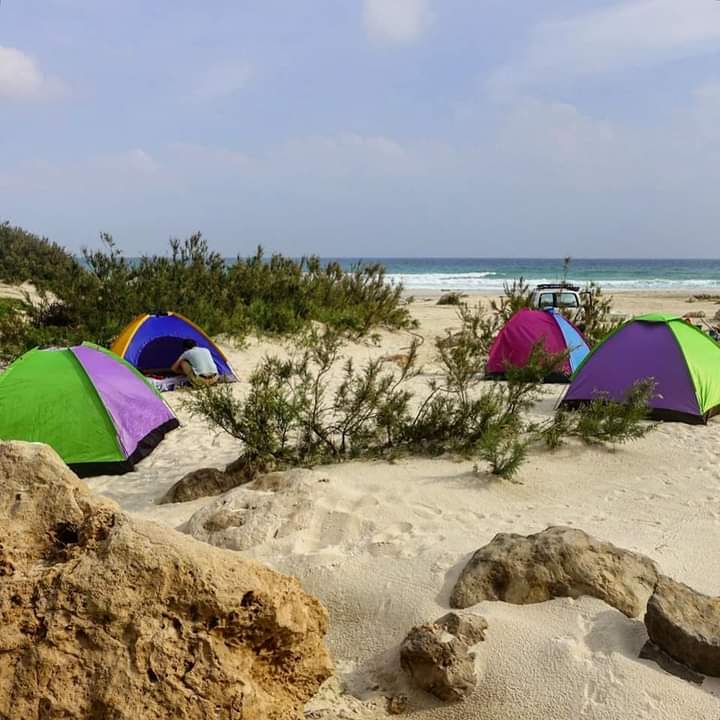 Aa702Ali's tweet photo. welcome to Socotra to explore the amazing beauty of island. Visit perfect journey in coastal line of Socotra. It adds an new experience to the visitors' with sandy beach in  beautiful sunsets. https://t.co/XkHfWnq6HN https://t.co/RgGFet2mWG