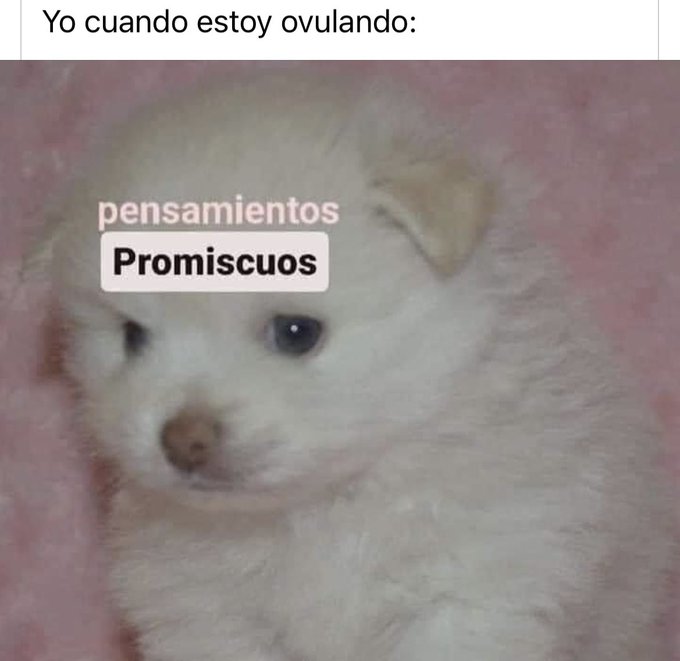 Watch elenita's leaked NSFW photo on TwXstars