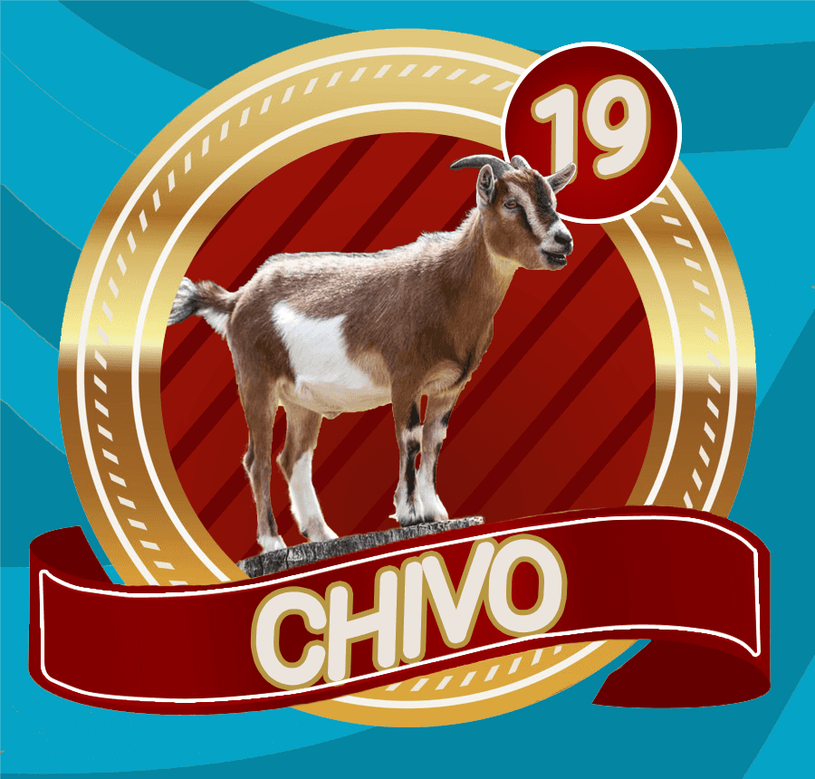LottoVerde's tweet photo. LOTTO VERDE
SORTEO
11/04/2023
08:30 PM
19 CHIVO
@LottoVerde https://t.co/CVljuQZihi