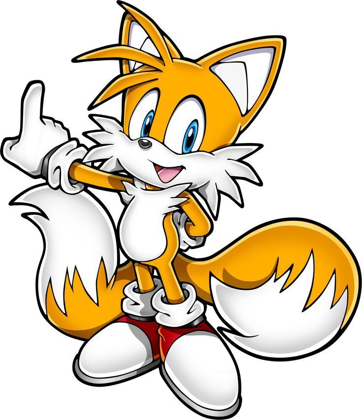 FxwzxnReeqz's tweet photo. Do you like Tails? https://t.co/u3hneLRZHb