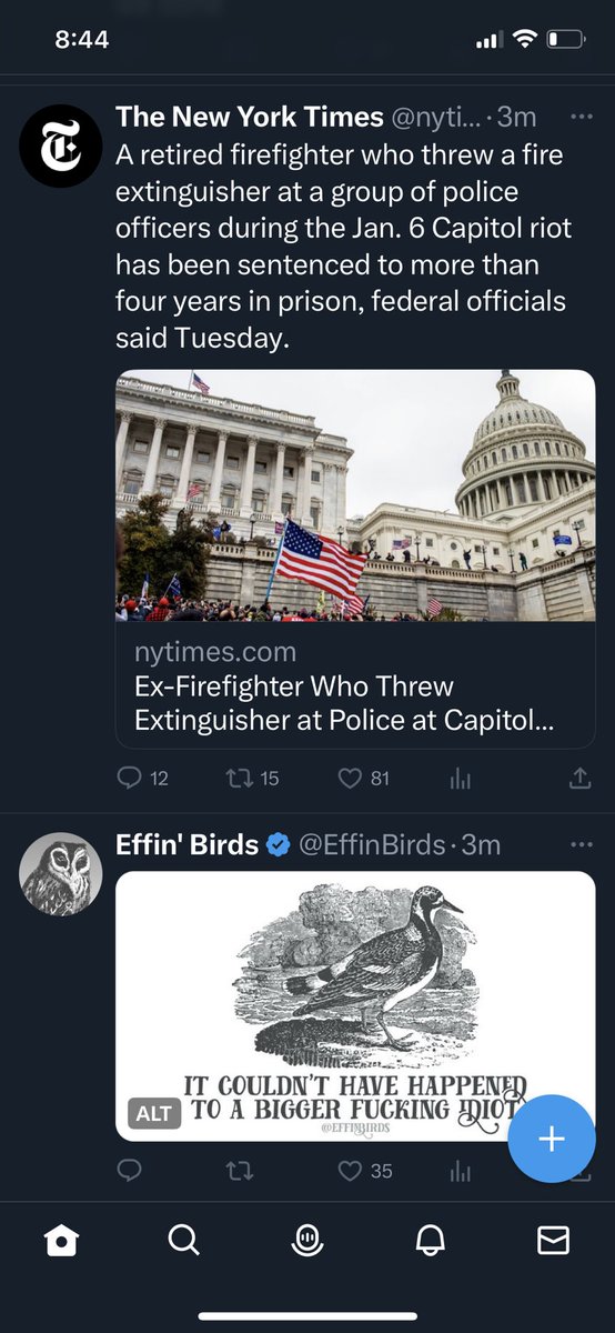 finfantin's tweet photo. @EffinBirds bingo https://t.co/ZsOJyMFVvV