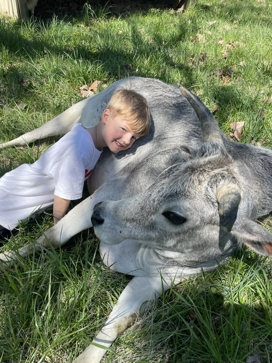 Mrs. Baker’s Kindergarten Class tweet media