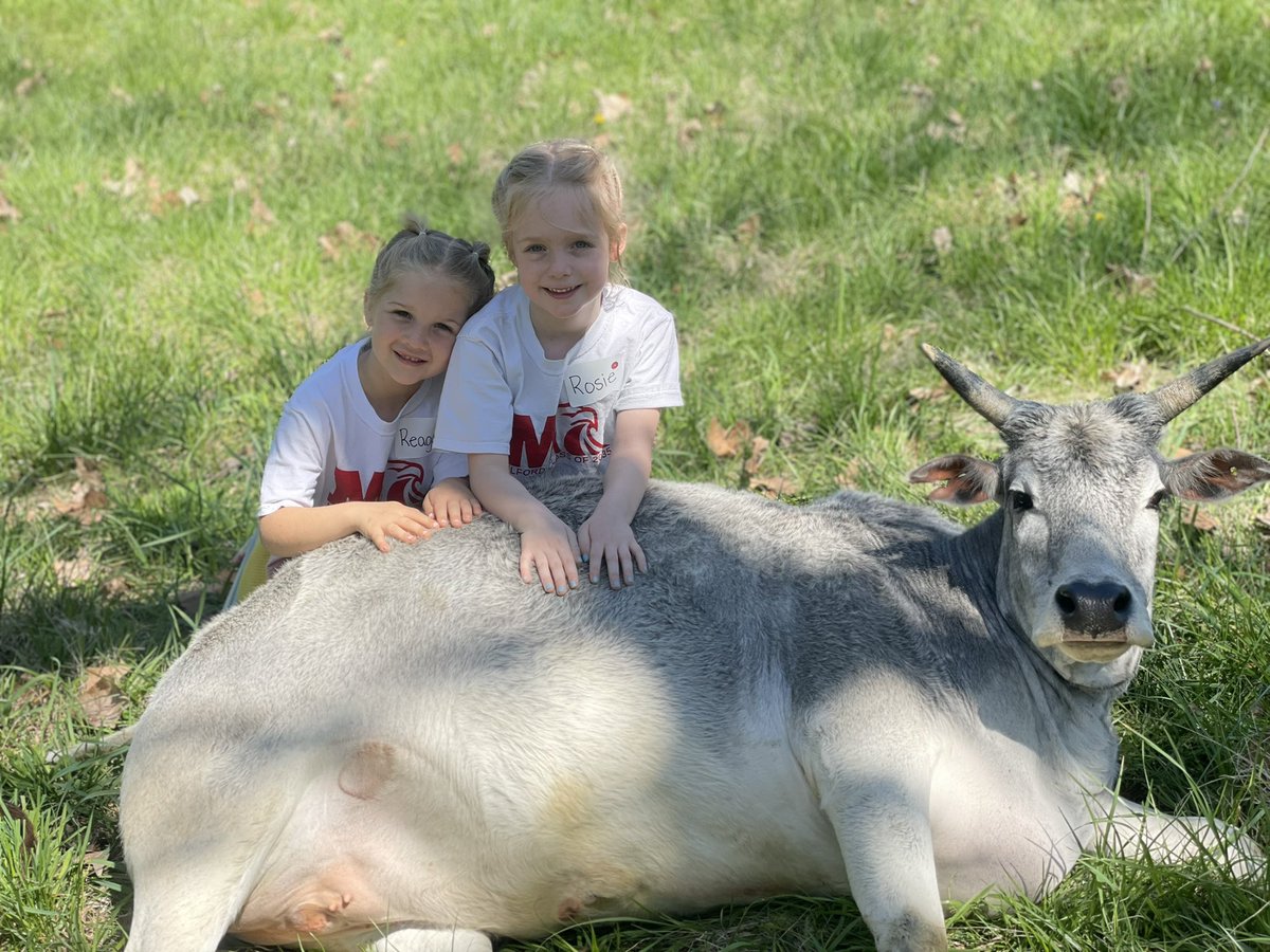 Mrs. Baker’s Kindergarten Class tweet media