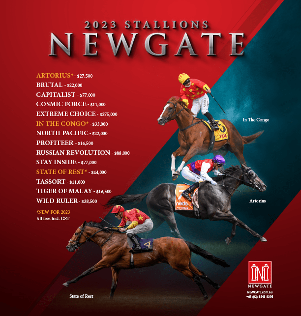 ❤️‍🔥 | <a href="/NewgateFarm/">Newgate</a> 2023

3 x new stallions 🌟

A superstar list 👊