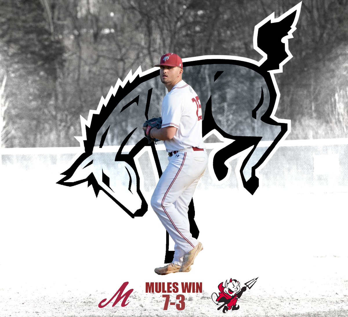 Muhlenberg Baseball tweet media