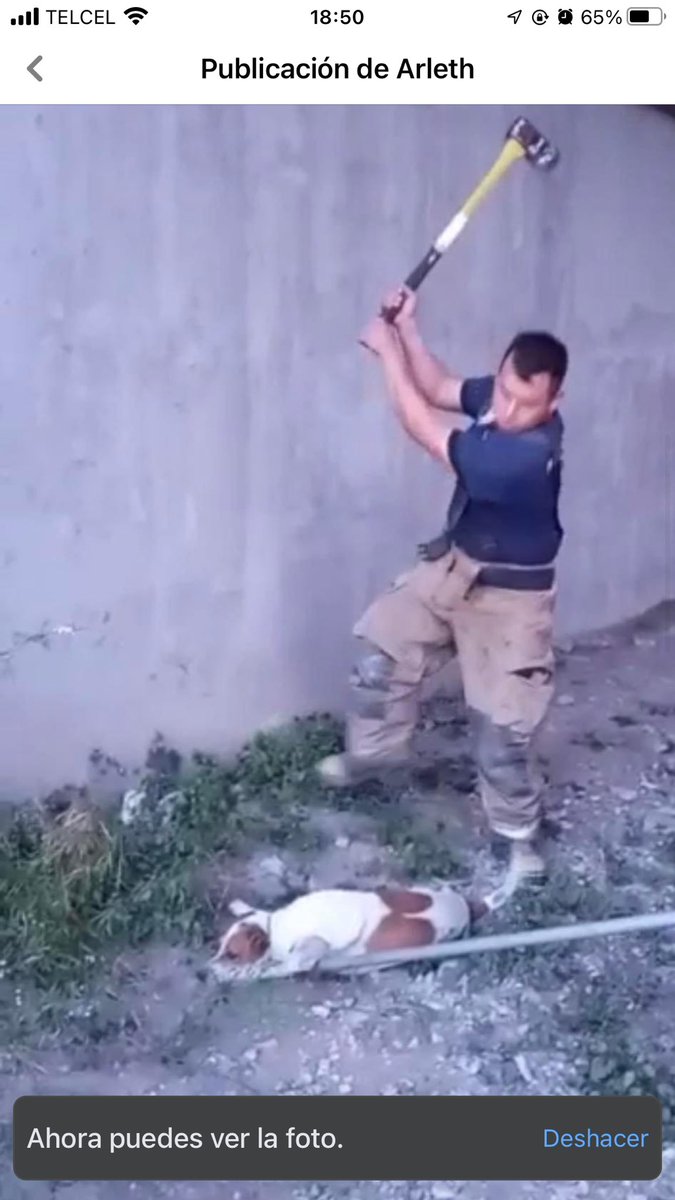 2323Petersen's tweet image. Pues el link no se deja ver igual twitter no quiere que se vea