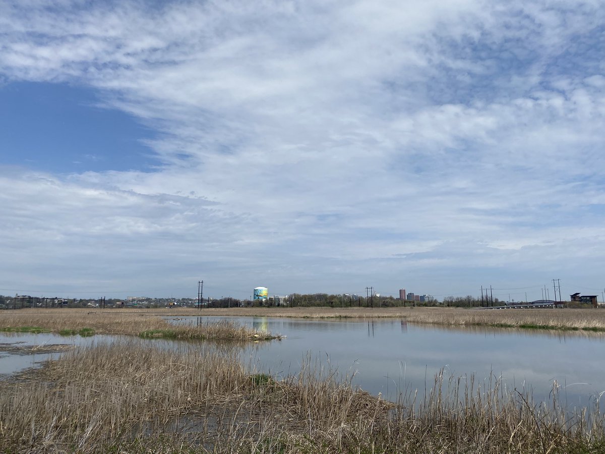 Awallace230's tweet photo. Wilmington from the edge of the Christiana river. Facing north. Not sure if this is a brackish marsh or freshwater. https://t.co/5W54BihrBB