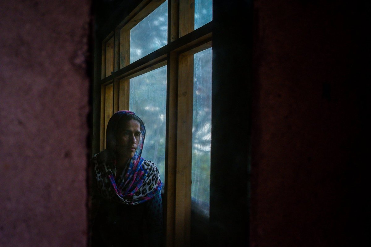 Pulitzer Center tweet media