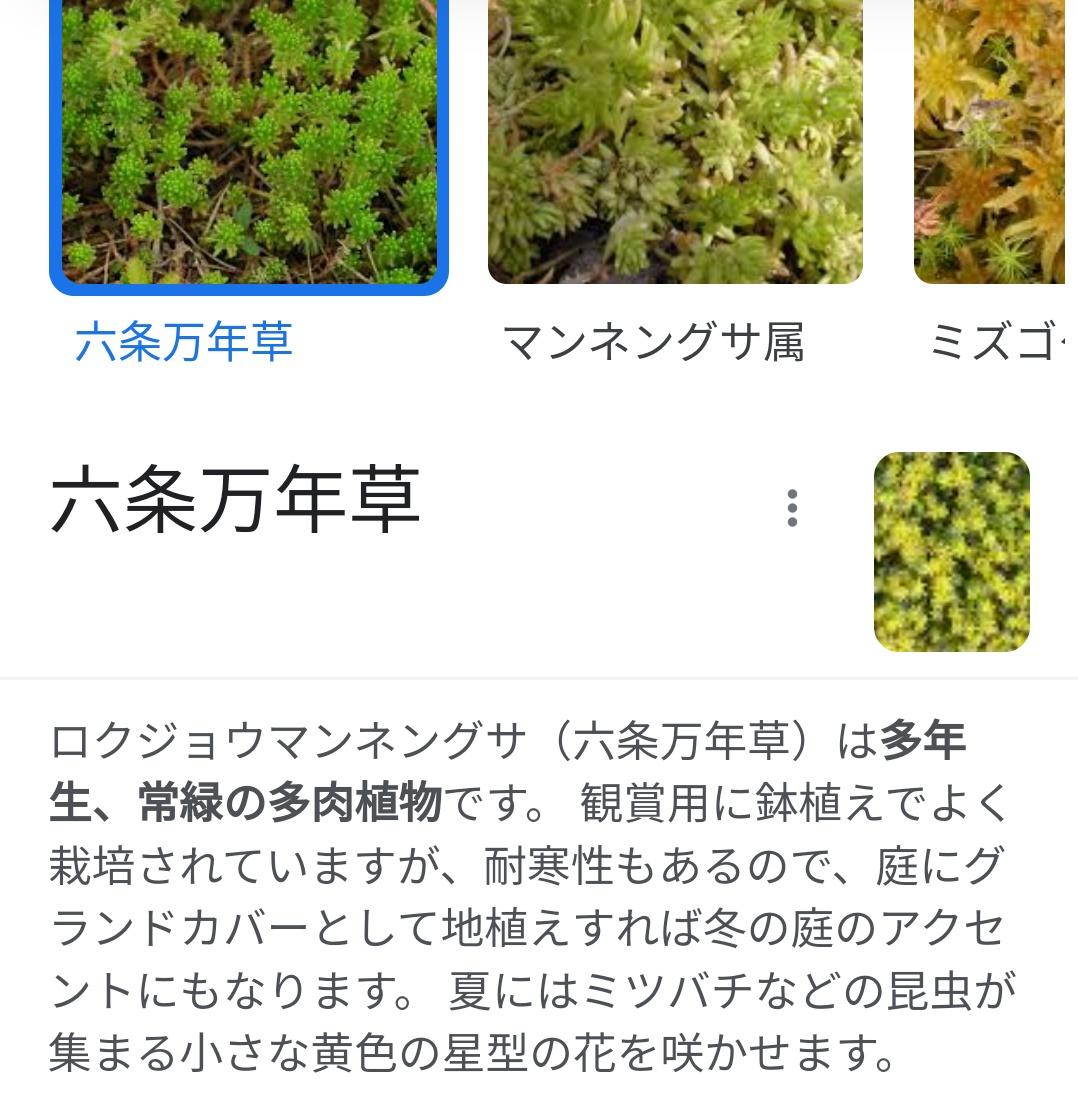 Kgatu2's tweet photo. @Meganenokagaya 画像で検索するとこんなのが出てきました https://t.co/TEcu2v4L03