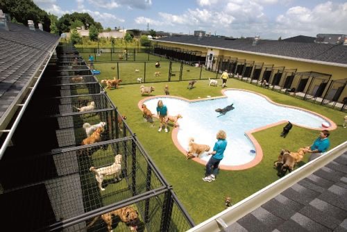 Kennels For Sale in the US
 
#vetswithpets #entrepreneurs #businessideas #ideas #businesstips #business #VetBiz #DYK #businesspurchase #doglover #dogowner #animalover #pets #dogs #dog #petowner #businessopportunities #businessopportunity @VetsWithpets00 us.businessesforsale.com/us/search/boar…
