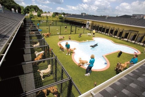 VetBizResources's tweet photo. Kennels For Sale in the US
#vetswithpets #entrepreneurs #businessideas #ideas #businesstips #business #VetBiz #DYK #businesspurchase #doglover #dogowner #animalover #pets #dogs #dog #petowner #businessopportunities #businessopportunity @VetsWithpets00 https://t.co/6QhNkkxbIf https://t.co/1wccH9NPTT