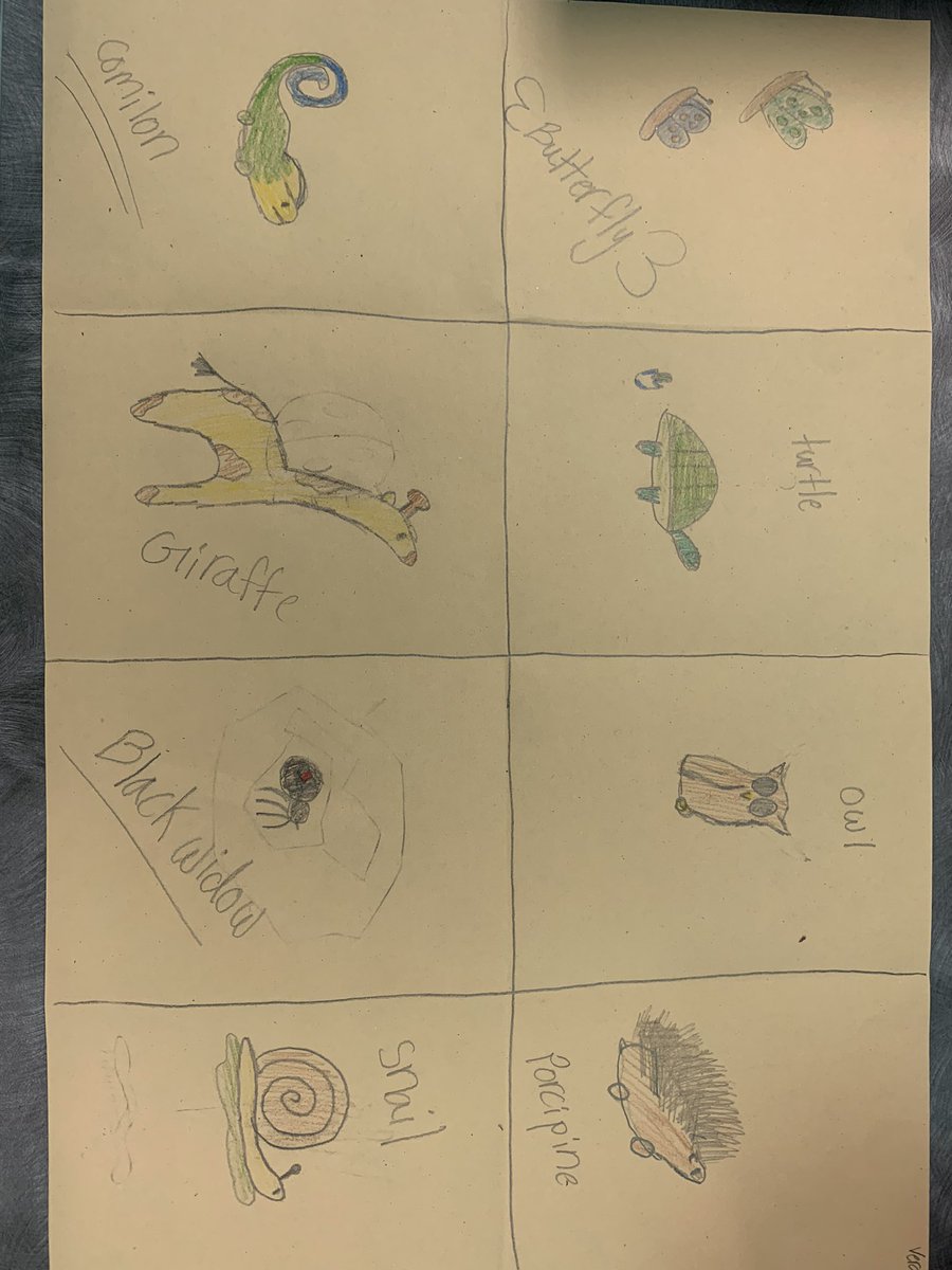 Anne Shacklett tweet media