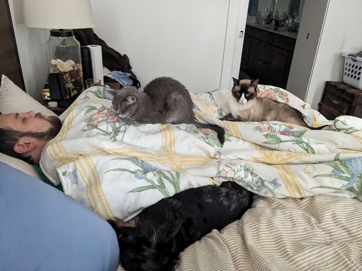 Patrick Wren tweet media