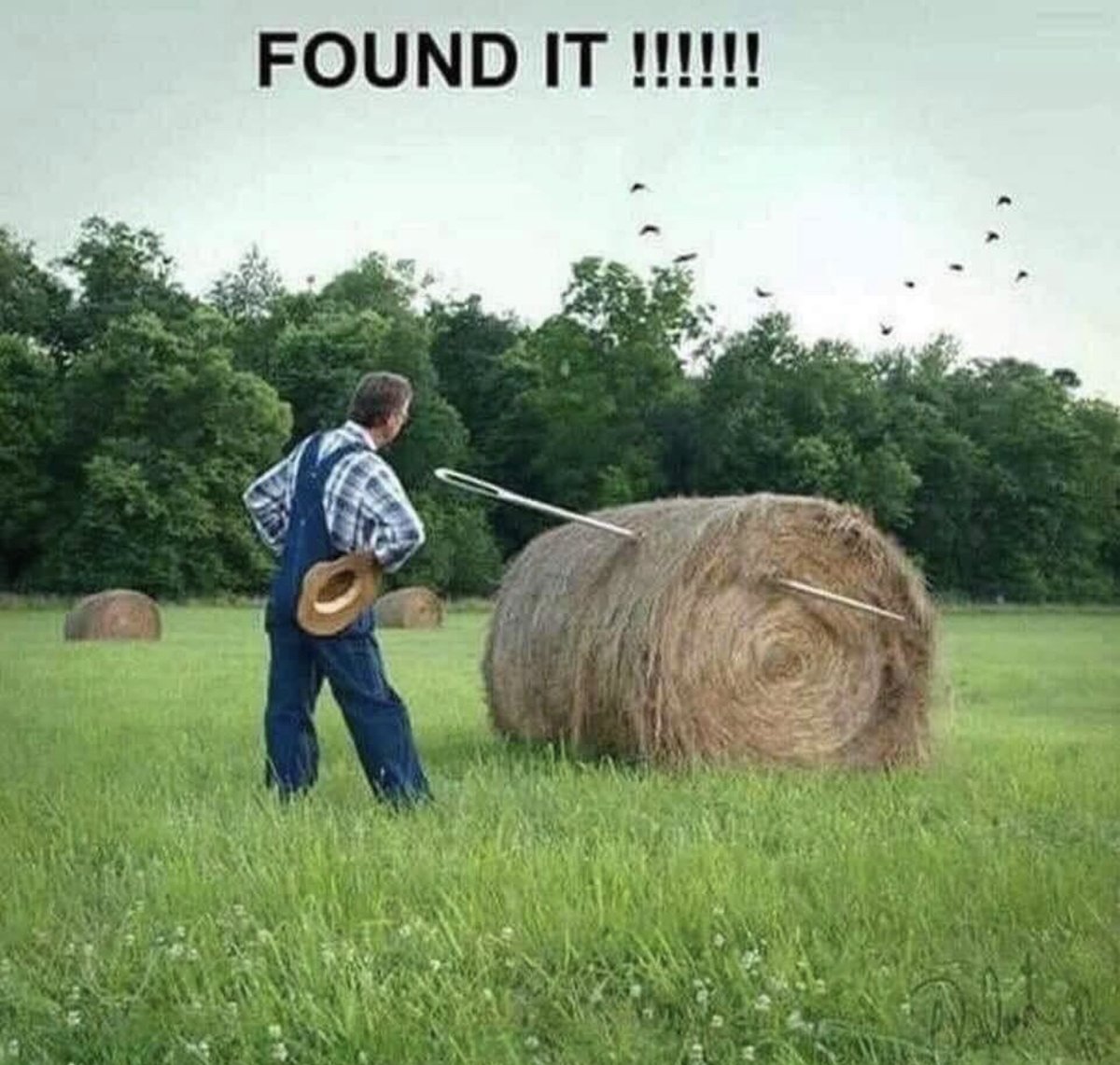 GarysTruckSales's tweet image. I’ve never been able to find it until now! Ha!

#garystrucksales #needle
#needleinthehaystack
