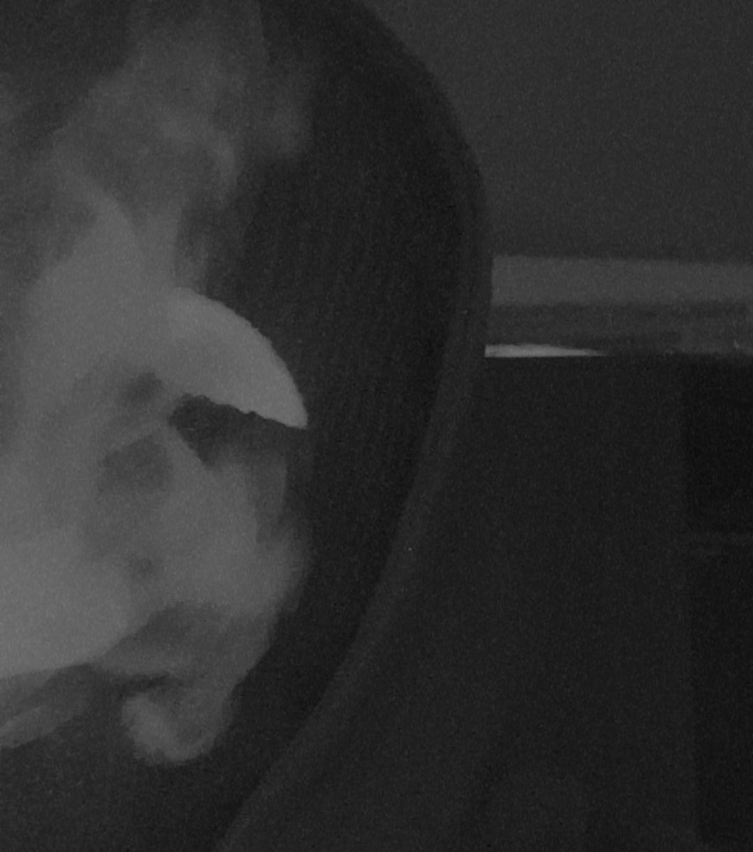 ded_pomer's tweet photo. @wellcome_death https://t.co/UyPTWqf8MD