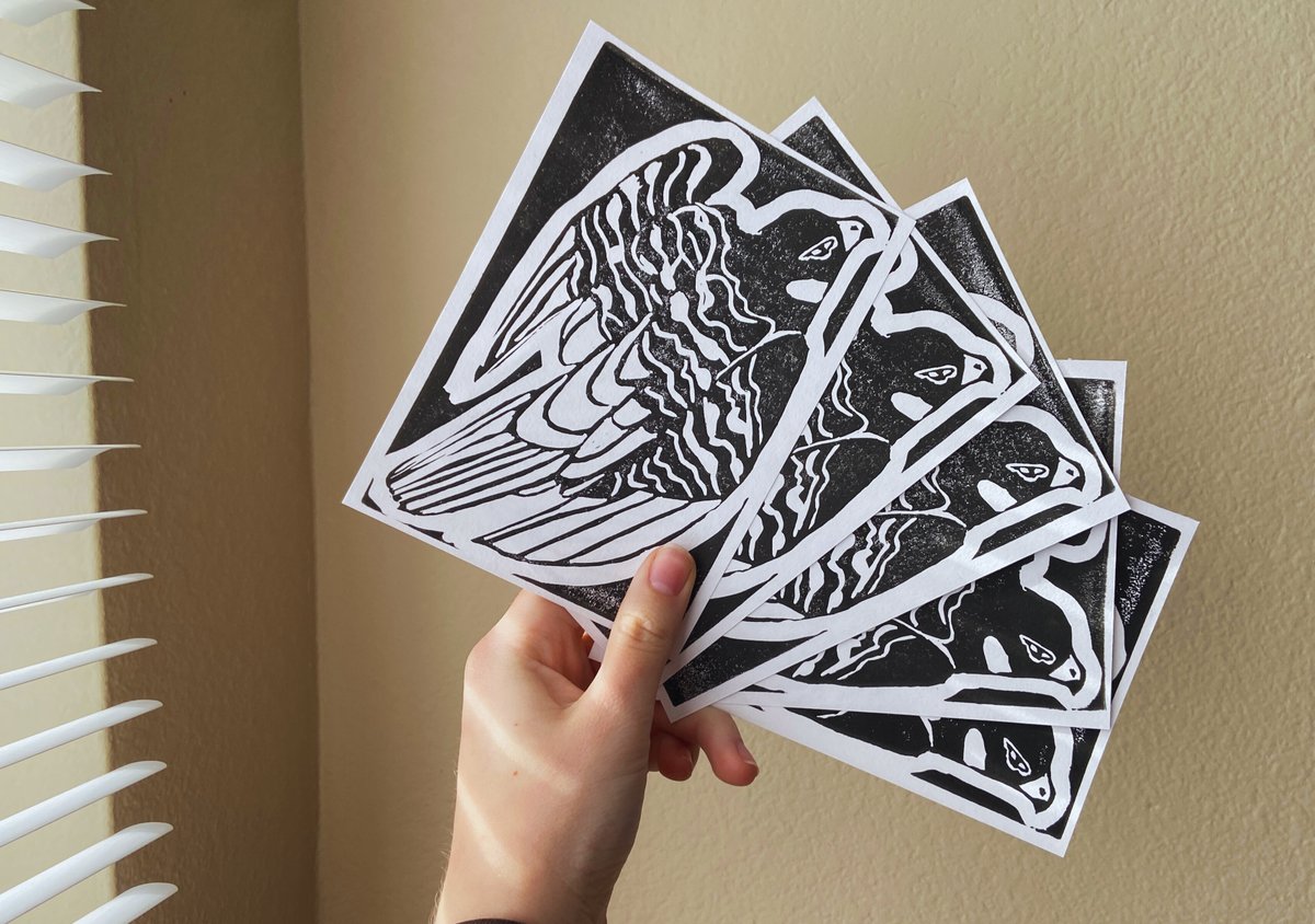 hello!! peregrine cards and prints are heeere!

net proceeds will be donated to <a href="/peregrinefund/">The Peregrine Fund</a> to help other endangered raptors 🐥