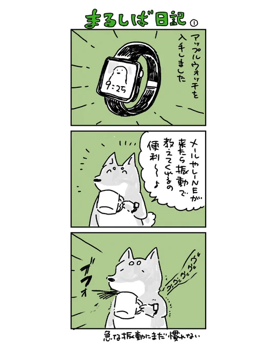 使い方を模索中です⌚️

#まるしば日記 