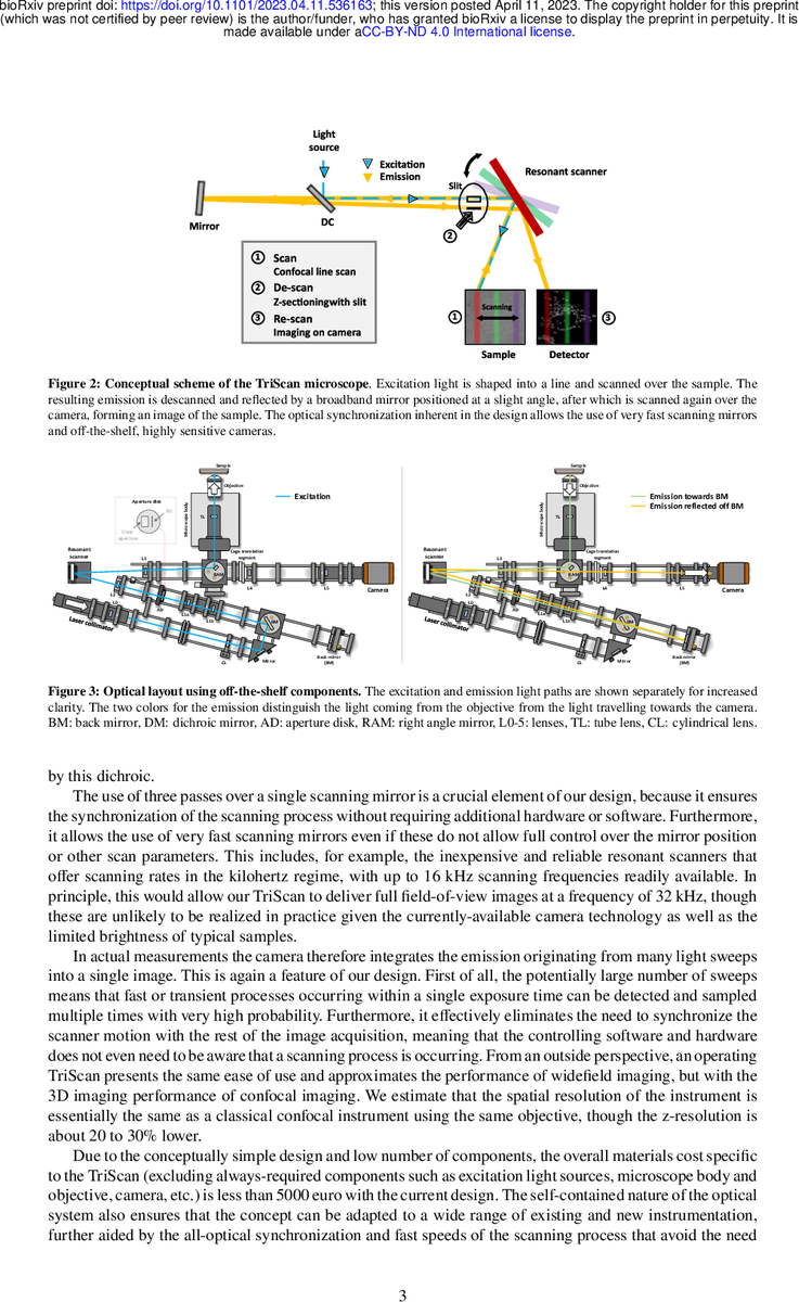 The TriScan: fast and sensitive 3D confocal fluorescence imaging using a simple optical design (relevance: 100%) biorxiv.org/cgi/content/sh… #biophotonics #biomedicaloptics