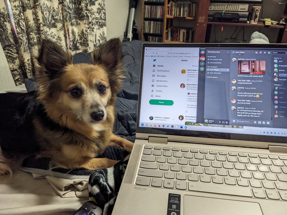 twistingmyths's tweet image. This is my chat partner... or she may just want my food. #writestuff