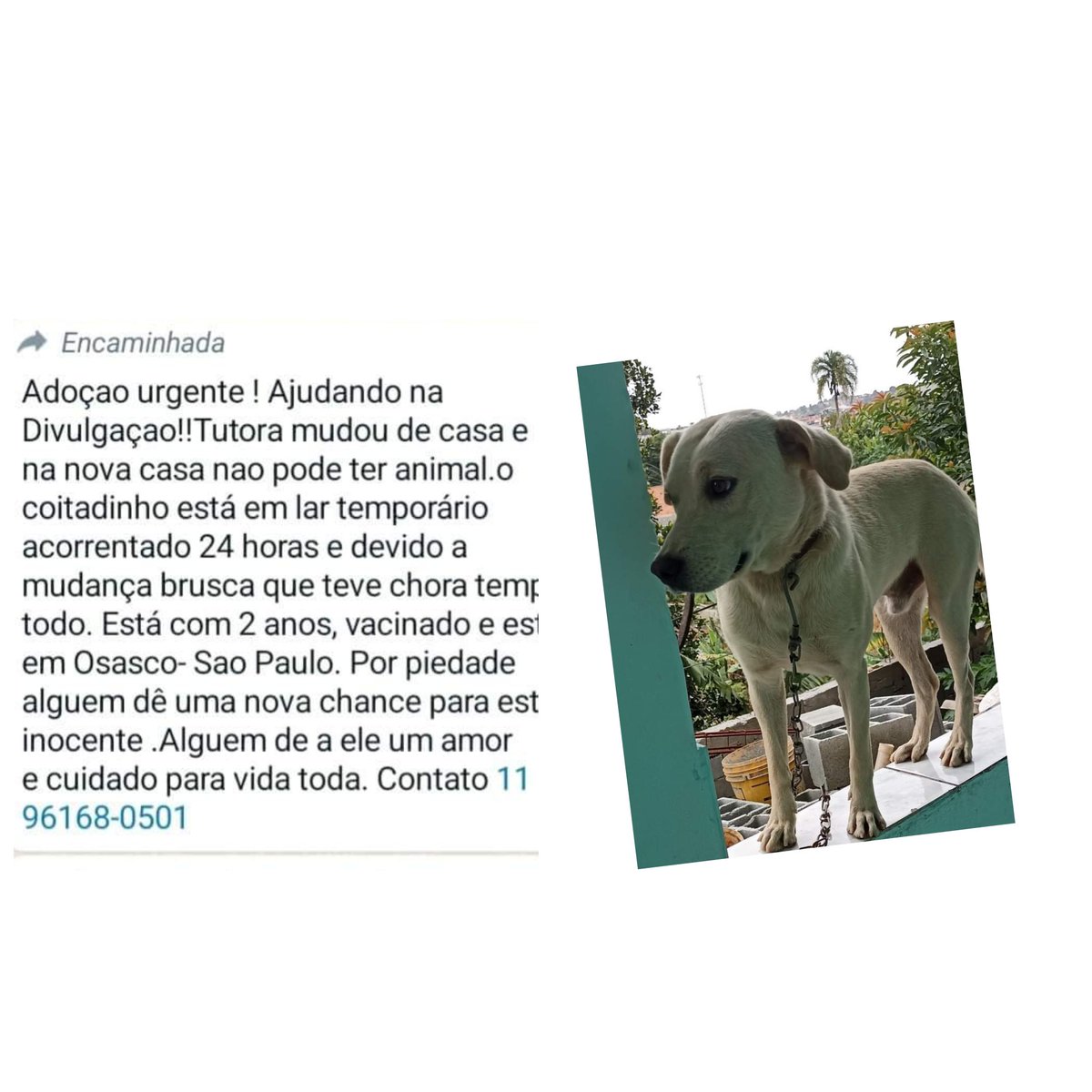 recantodosanjos's tweet photo. Infelizmente Sueli disse que continua na mesma.SP em OSASCO https://t.co/3atpnYvmk0