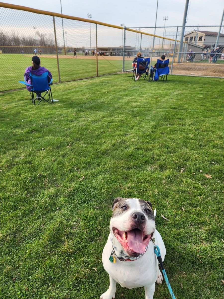 MissGerba's tweet photo. Lincoln had a great day at all of the events!! https://t.co/dKRBfmIpZg