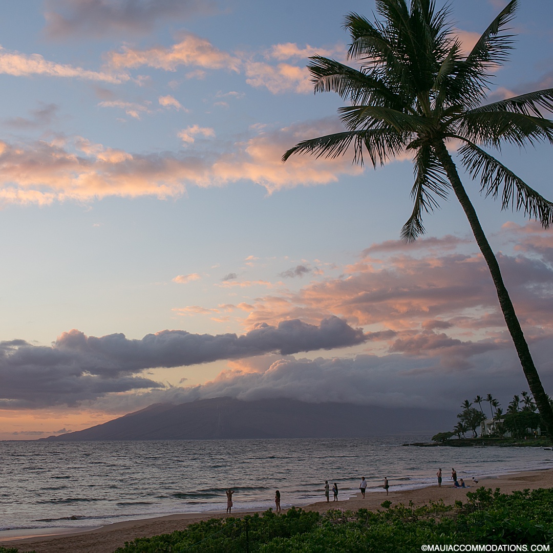 Another day in paradise. When is your next visit to #Maui?

#allaboutmaui #mauivisit #mauivacation