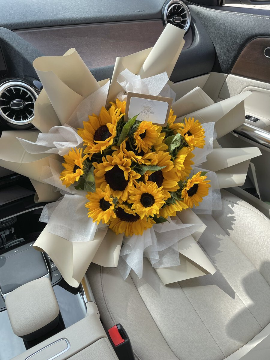 petaltique's tweet photo. 🌻🌻🌻 https://t.co/5tNi46OSbv