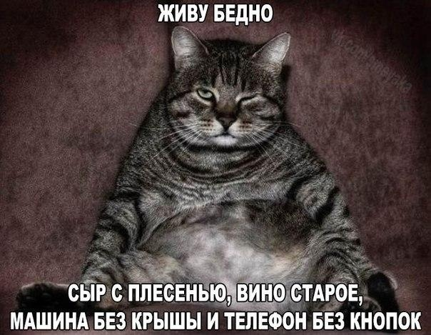 TemofeevaMariya's tweet photo. https://t.co/SbIHoIRRat