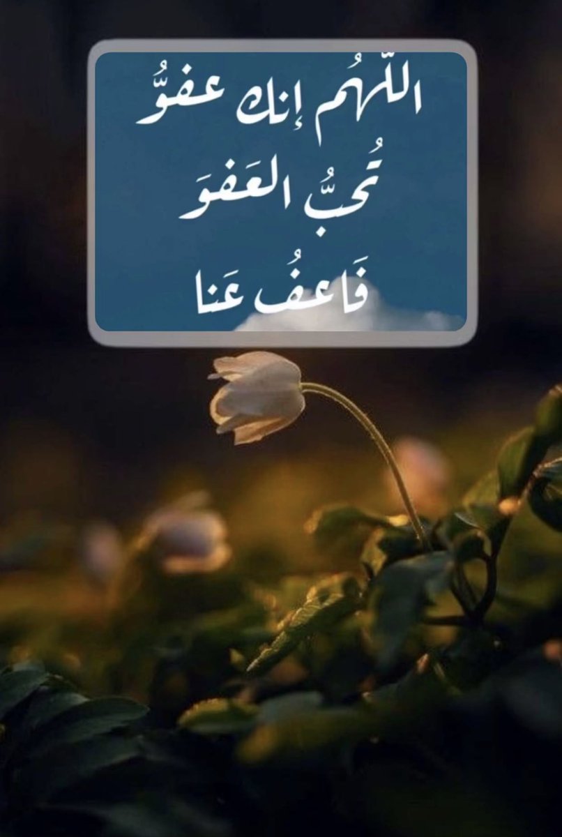 mannoo6 tweet picture