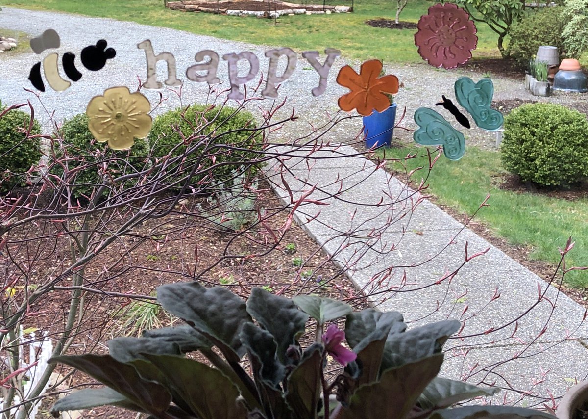 The sun came out tonight after seven days of rain and snow…the little maple tree outside my kitchen window has had enough winter!  #Behappy #MaybeSpring