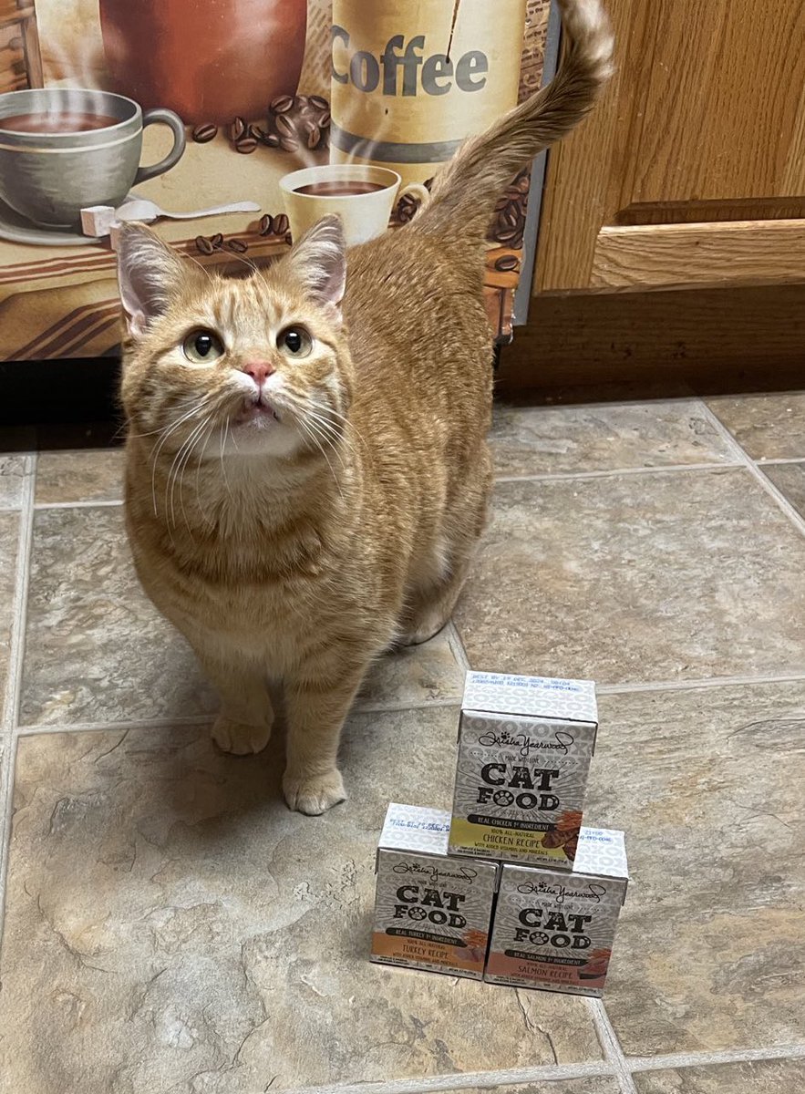 Trisha Yearwood Pet Collection on Twitter