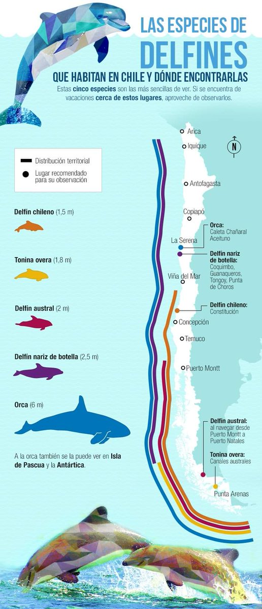 Compartimos esta linda infografía acerca de los lugares donde podemos observar 5 especies de #delfines en nuestra costa.

#Chile
Gráfica de <a href="/Emol/">Emol.com</a>