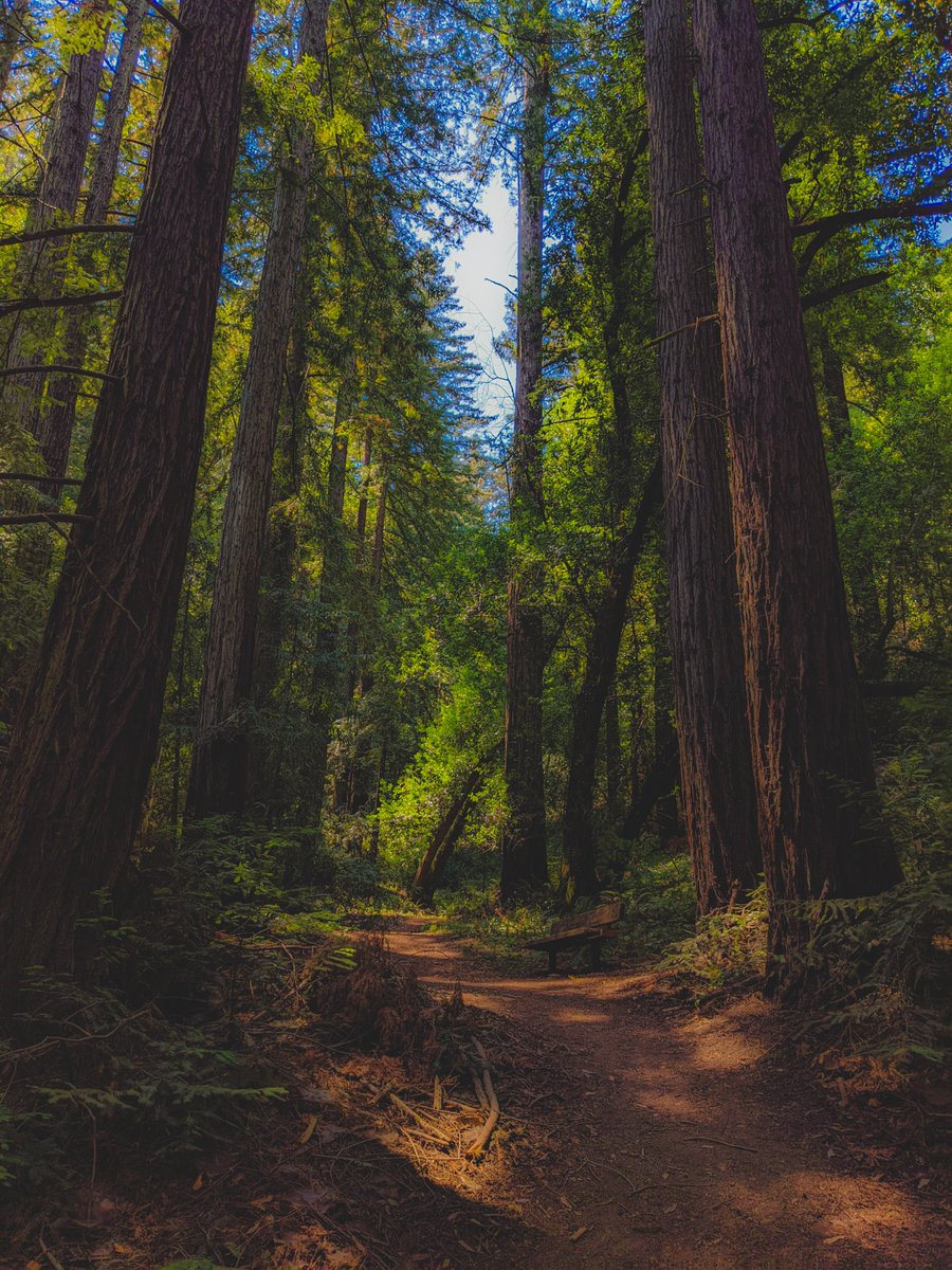 WENBayArea's tweet photo. Come celebrate #EarthDay with 2 WEN events! 

🌎 East Bay: 4/22, 9 - 1:30
Volunteer at Dimond Park and Canyon then share a picnic lunch! RSVP: https://t.co/nSnjwsd53U

🌎 SF: 4/22, 10 - 1:30
Join a neighborhood cleanup in GGP followed by a picnic! RSVP: https://t.co/hxUgrZf7vM https://t.co/oSgKeXei01