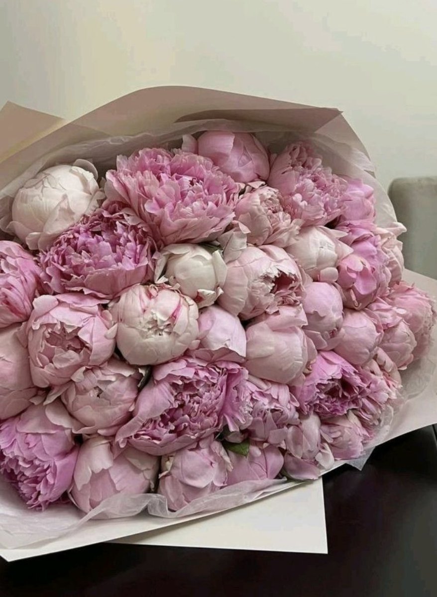 untitledallure's tweet photo. pink peonies https://t.co/NaAVvQ6h9w