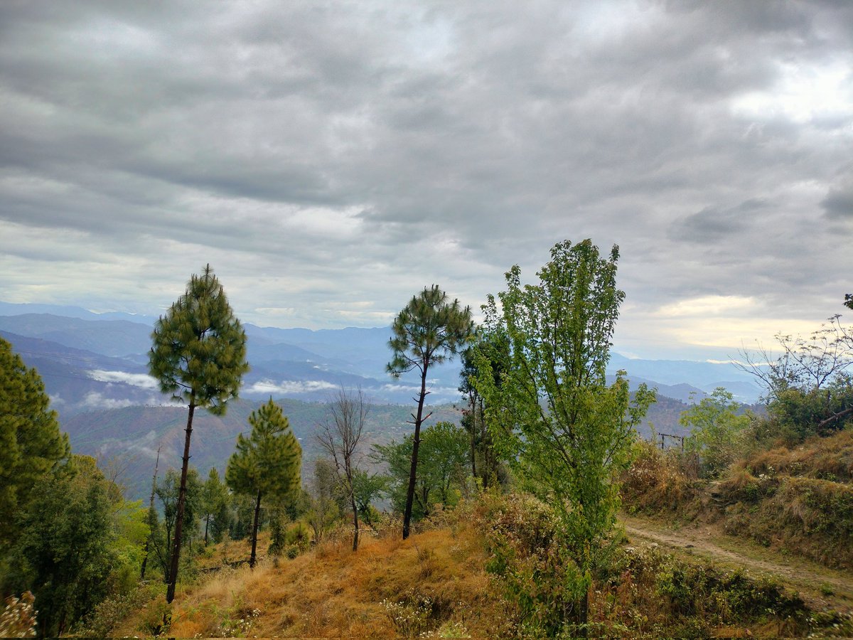 Ajay33671340's tweet photo. Random clicks 

#Hometown #photograghy #mountains #village #uttrakhand #ranikhet #ontheway #WFH https://t.co/aAechr1g1J