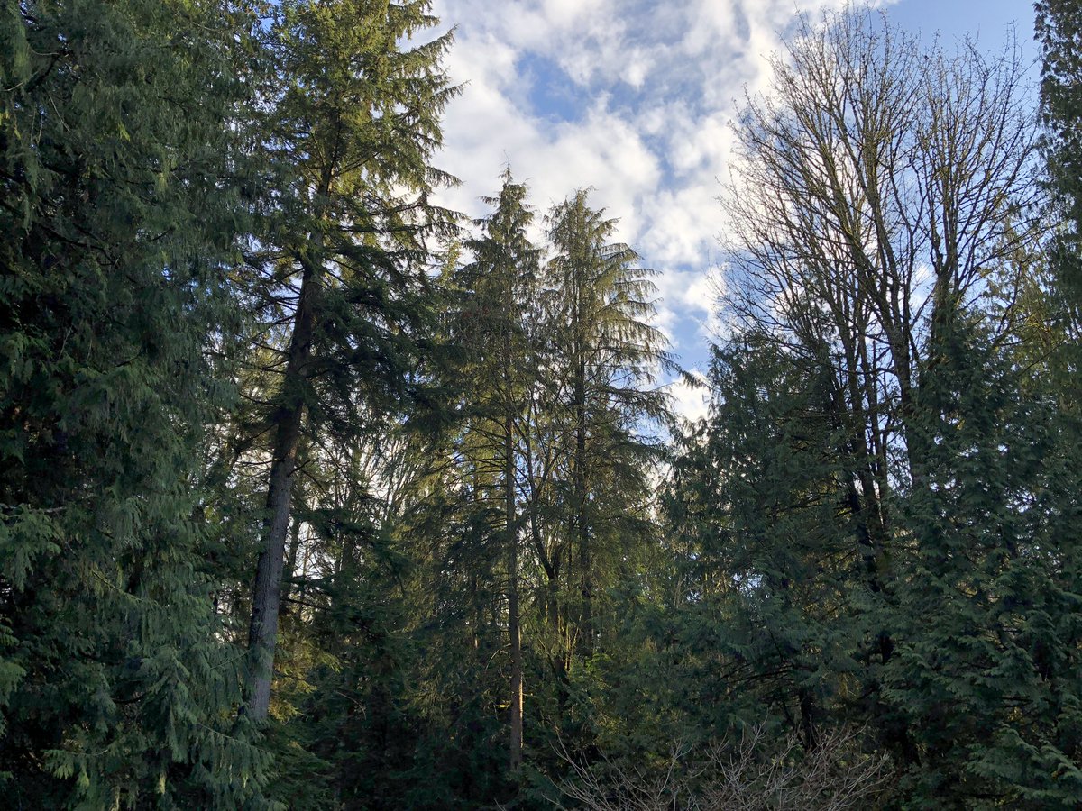 Blue sky for merely five minutes in the day is even uplifting.  #beHappy #giveThanks