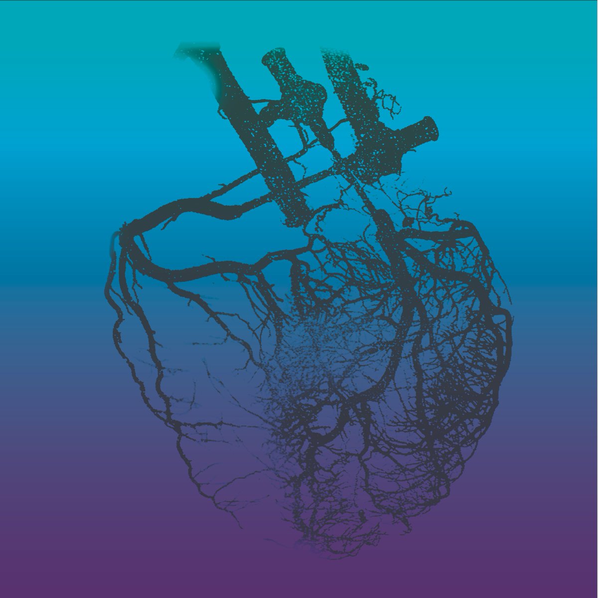 ACMrevista's tweet photo. Radiografía de un corazón en el que se han insertado cánulas  para inyectar mercurio. Se aprecia los trayectos vasculares, y la densidad vascular bien diferenciada entre los dos ventrículos. Estudio publicado en 1931 en Archivos Latino Americanos de Cardiología y Hematología. https://t.co/thpmp9kRu6